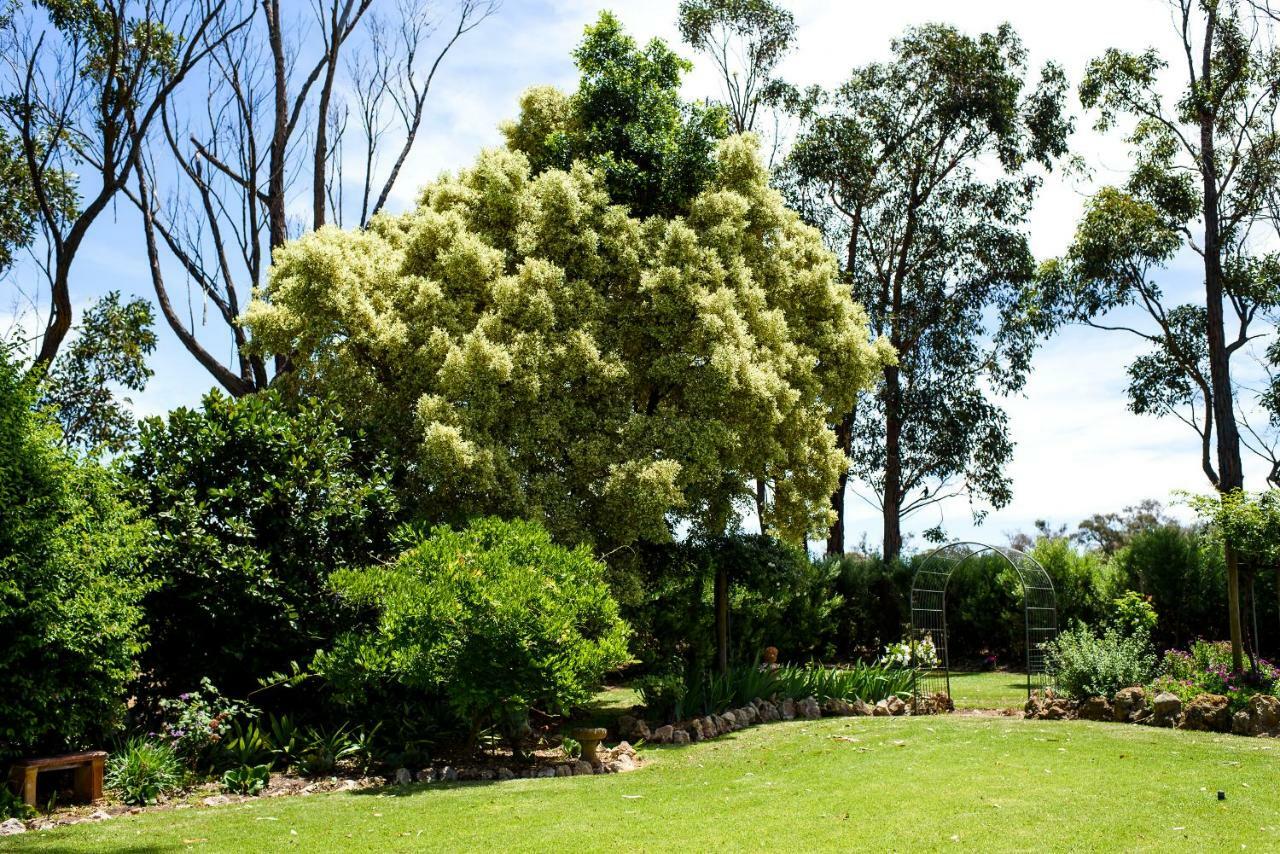 Fairlawn Estate Casa de hóspedes Busselton Exterior foto